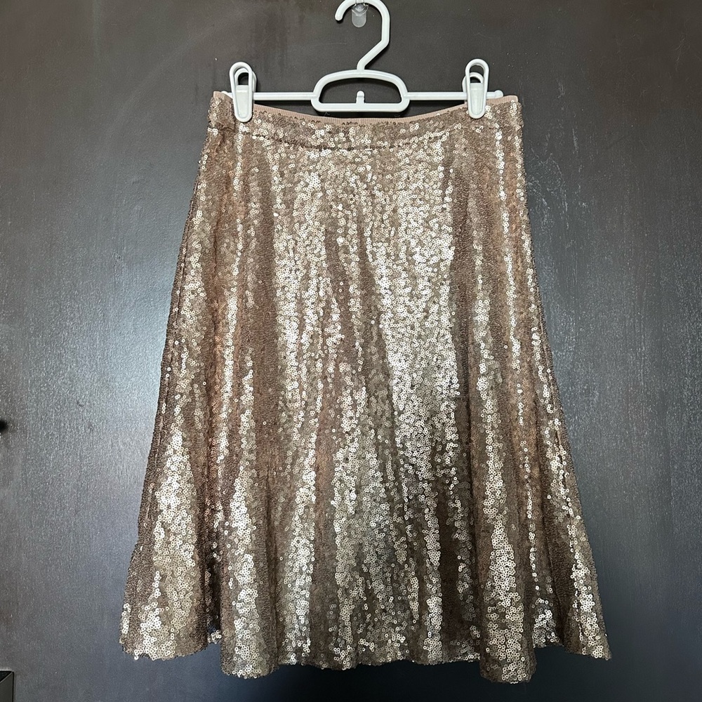 Ann Taylor Sequin Skirt